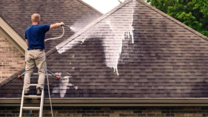 Roof Cleaning Adelaide