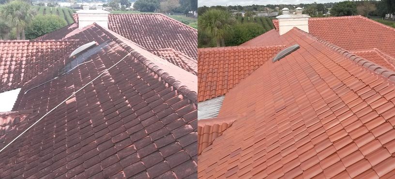 Why Do You Need Roof Cleaning Services?