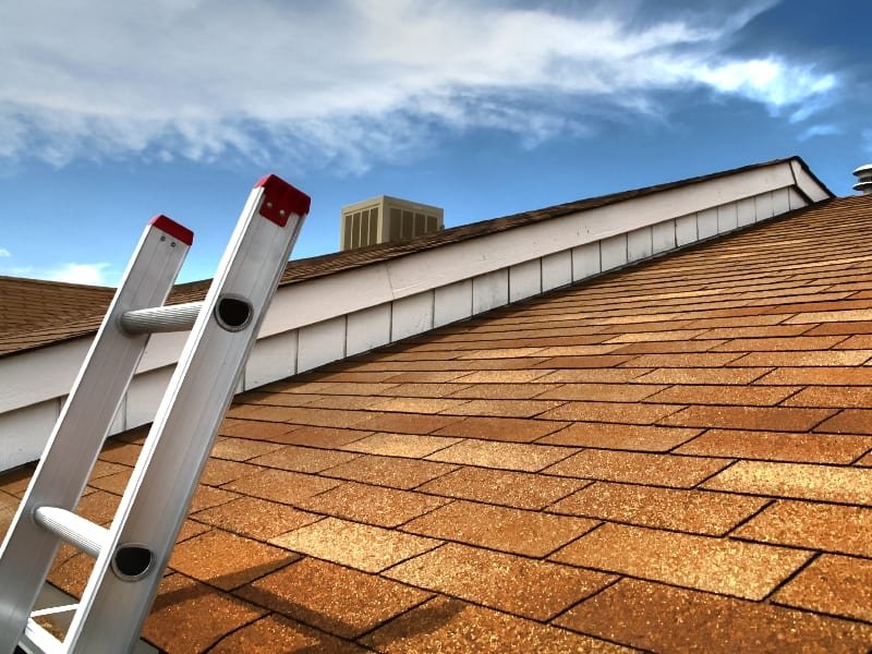 7 Signs you need immediate Roof Repair Service