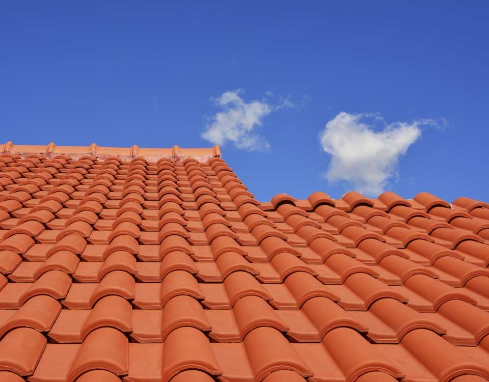 Choose Roof Revival Professional For Roof Restoration In Adelaide