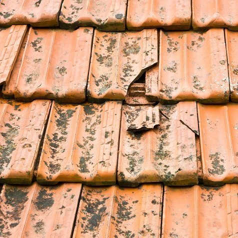 Things to Consider to Get Professional Roof Cleaning For Adelaide Residences