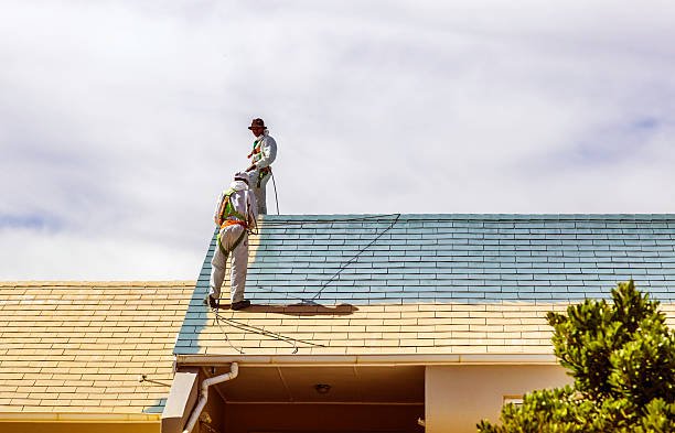 Leaders in Roof Restoration Offer Expert and Professional Roof Painting Services in Adelaide