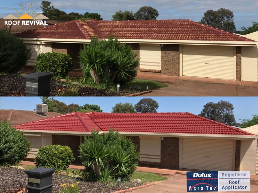 Roof Cleaning & High Access Cleaner, Adelaide