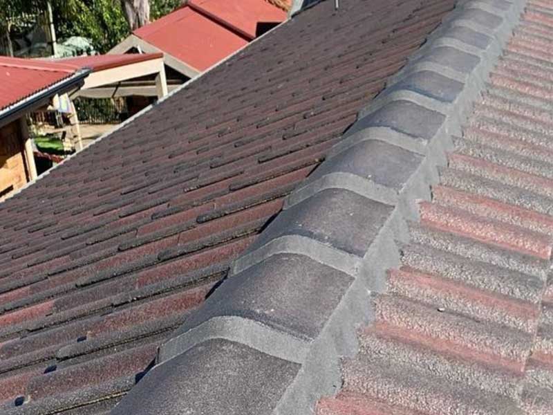 REBDEDDING AND REPOINTING